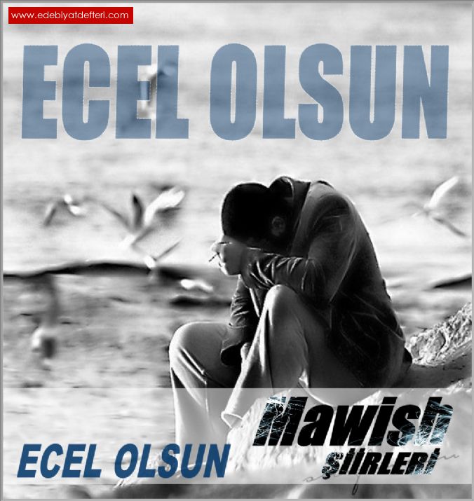 Ecel Olsun