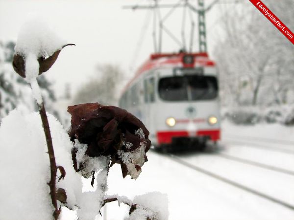 felsefesi gzlerindir