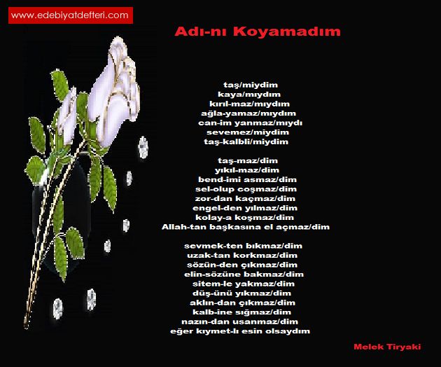 Ad-n Koyamadm