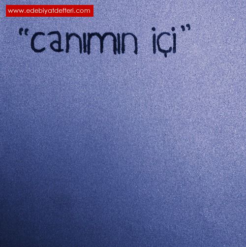 *.* CANIMIN N