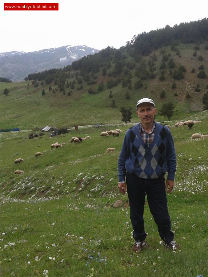 YEL YAYLA