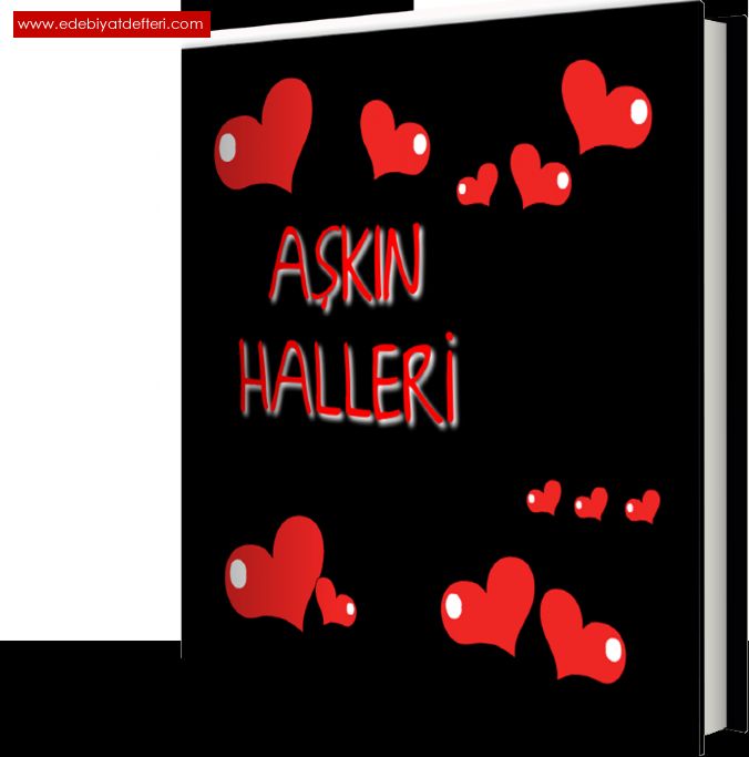 AKIN HALLER