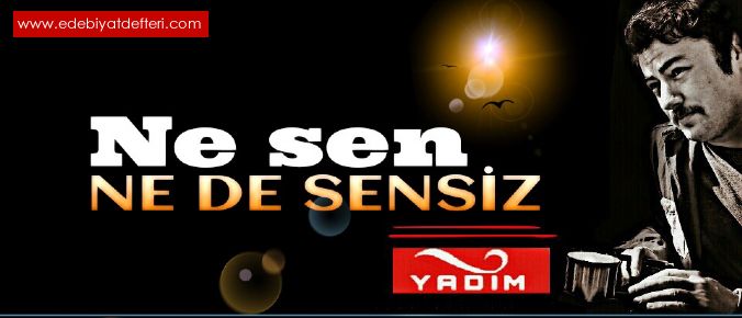 NE SEN NE DE SENSZ