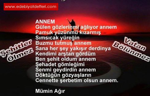 ANNEM