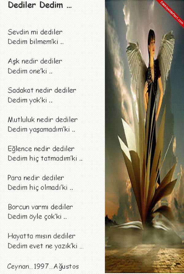 Dediler Dedim ...