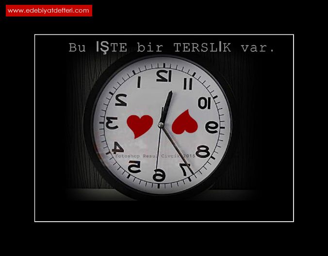 BU TE BR TERSLK VAR.!