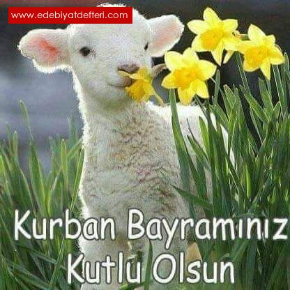 BAYRAM ETSN