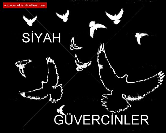 SYAH GVERCNLER