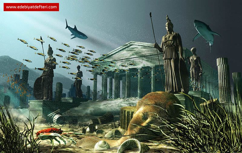 -MED CEZİR MANZARALARI-