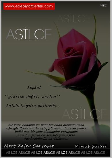 Asilce