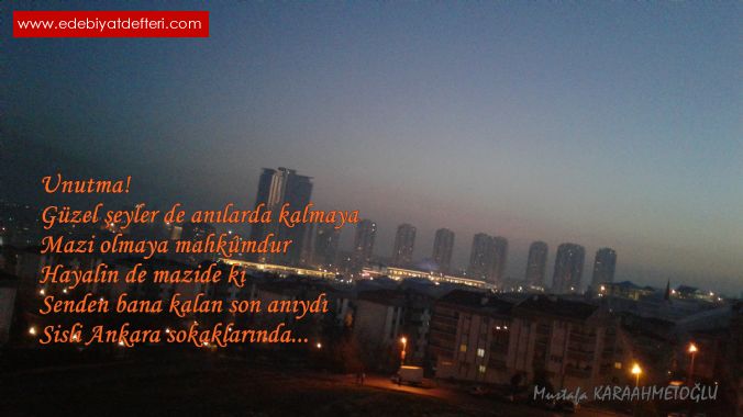 Ankara'da Hayalin Vard