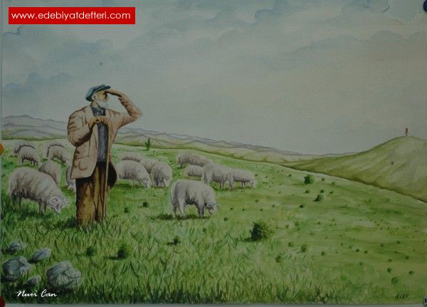 Ta Kesilmi oban Ve Koyunlar