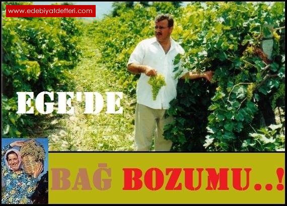 EGEDE BA BOZUMU