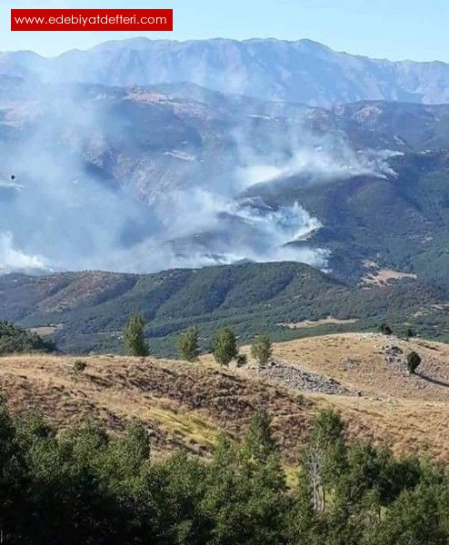 Munzurda yangn doa ve yaam yok ediyor