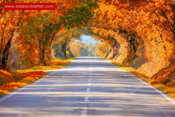 ADA'YA YOLCULUK-5
