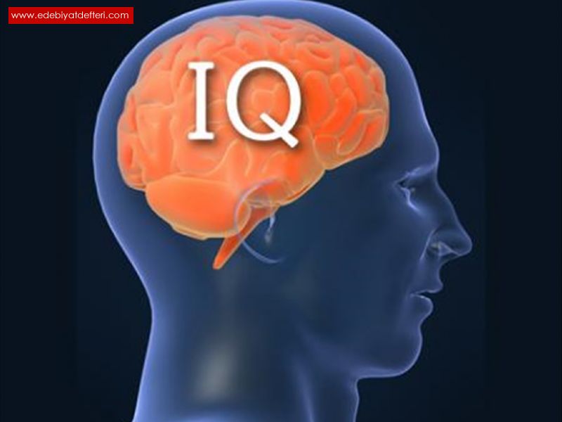 IQ...