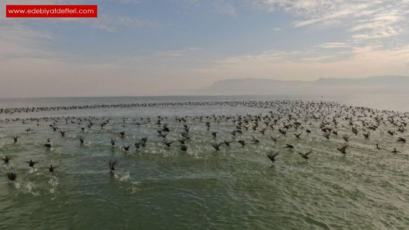 Zorluklardan Gce: Birlikte Yol Almak