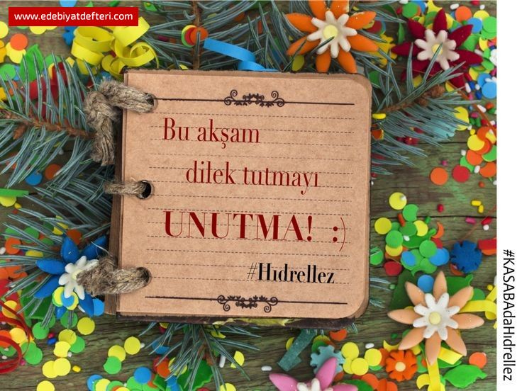 GÜL AĞACININ ALTINDA GİZLENEN DİLEKLER ...