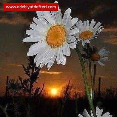 BİZ NE ZAMAN MI KAYBETTİK?