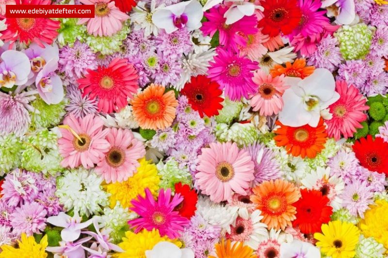 DUVAR SAKSISI...(ÖYKÜ)