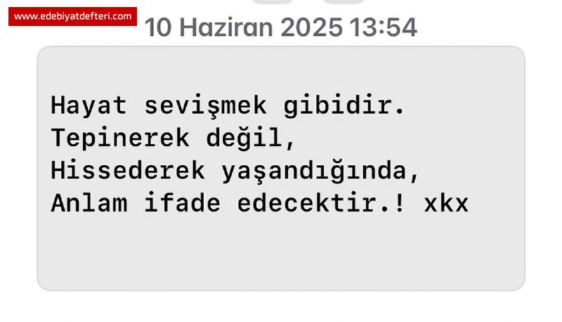 Akılsız Hallerim. XWX 2025