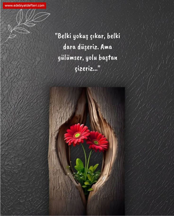 KÖKLERİMİZ GÖKYÜZÜNE BAKAR...   "Eğilmeyen kadınlara selam olsun "