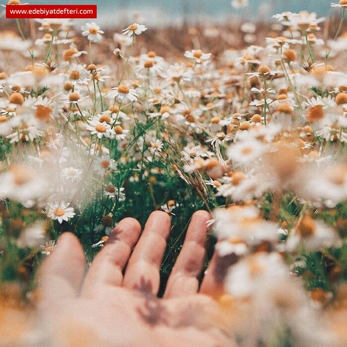 SABAH RIZKIMIZI VEREN YÜCE ALLAH...