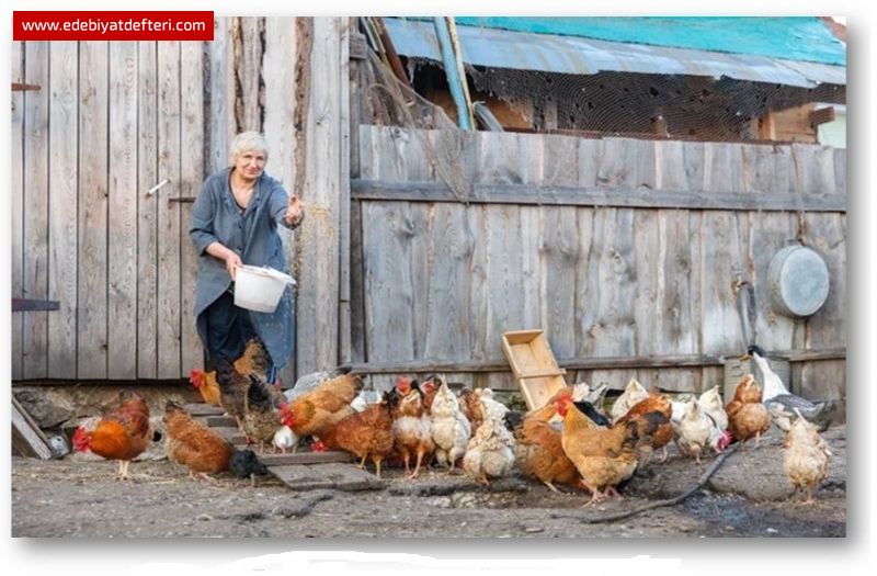 EBABİL DE NE OLAKİ!