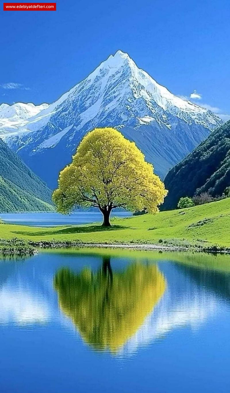 KONYA VAN TARİHSEL İRTİBAT