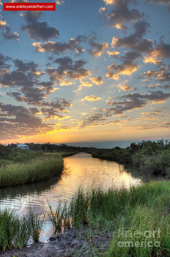 OL VAKTİDİR ARTIK...(ÖYKÜ)