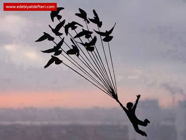 SENİ SEFİL YAZAR BOZUNTUSU...(MİZAH)