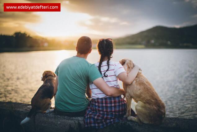 SADAKATİN CELLADI: İNSANIN BİN YILLIK NANKÖRLÜĞÜ