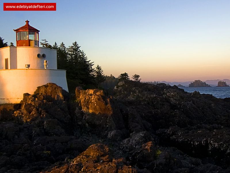 YAŞAMIN ÇİZGİLERİNDE SEV KENDİNİ.....!