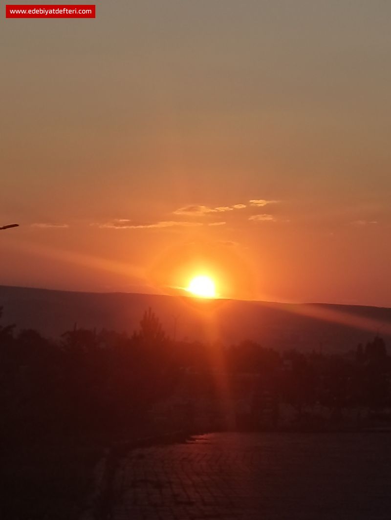 Uykuda Geçen Z/amanlar