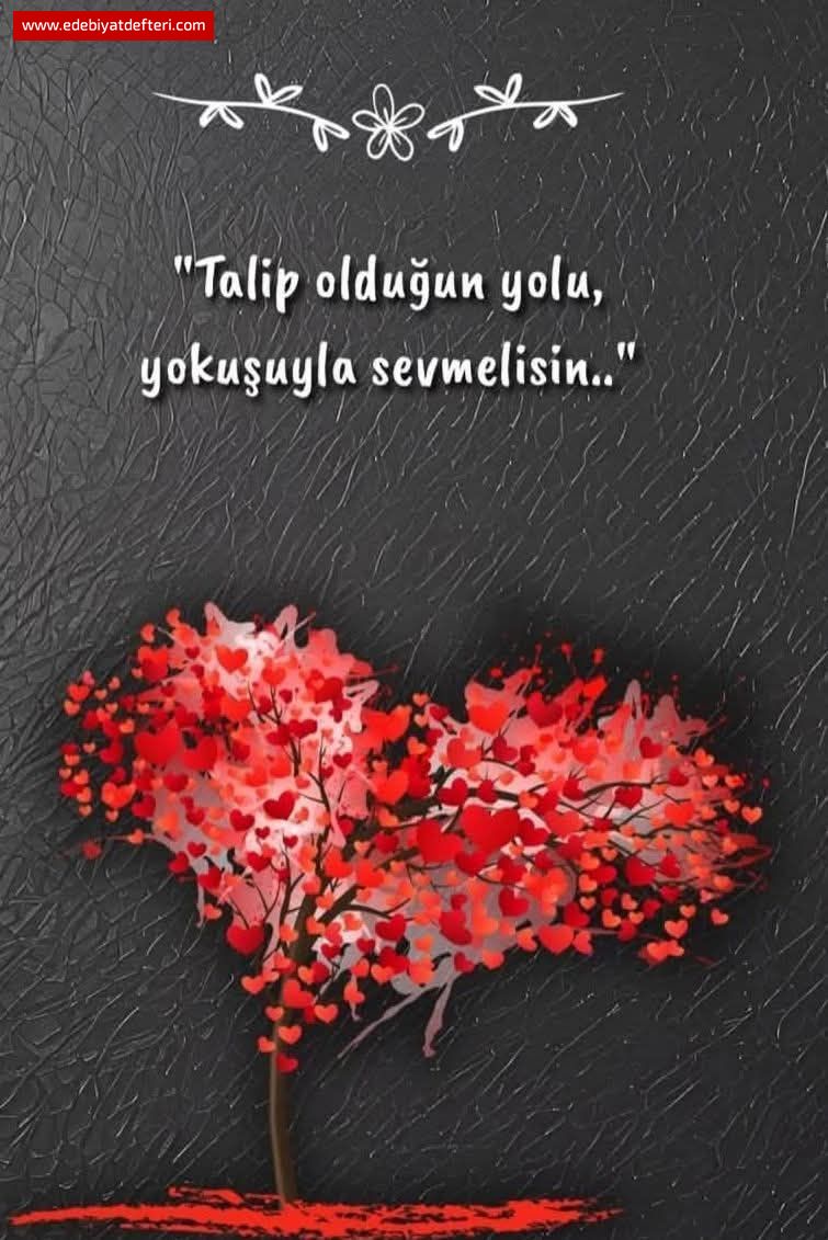 Devam Et İki Gözüm