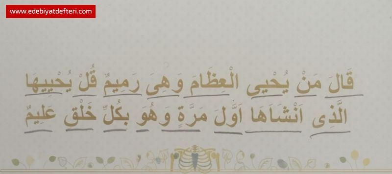 ÇÜRÜYEN KEMİKLERİN SAHİBİ KİM