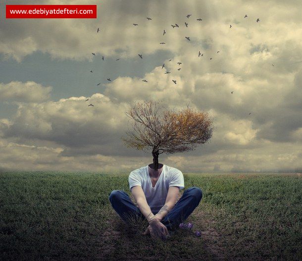 Toplumsal Değişim, Çürüme ve Çöküş