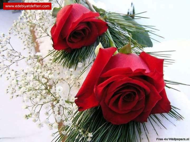 BUGÜN DOĞUM GÜNÜM.