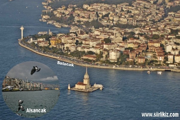 Salacak ve Alsancak'n Ak