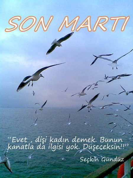 Son Mart