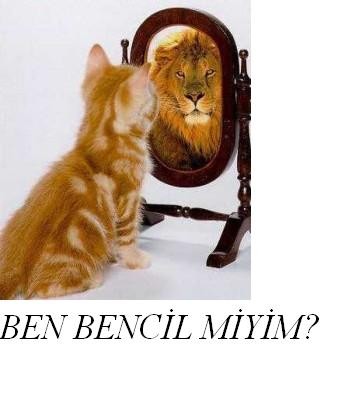 BEN BENCL MYM?