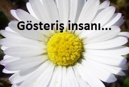 Gsteri nsan