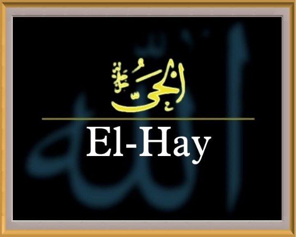 331 - EL HAY 
