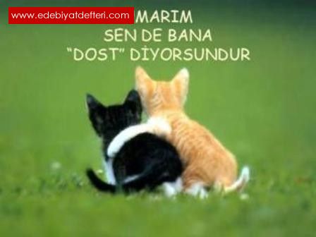 ESK DOST