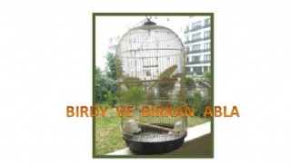 BIRDY VE BIRKAN ABLA!