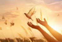 TE�EKK�R EDER�M SEVG�L� OKUYUCUM...