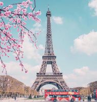 *** N�LG�N 15 ***