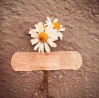 GEL�N DE Z�NC�RLEY�N Y�RE��M�...