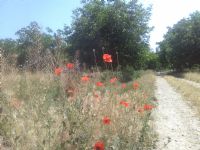 Yine �iir �zre..