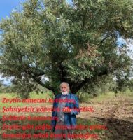 Ak�ls�z Hallerim Z- Ku�a��. 08